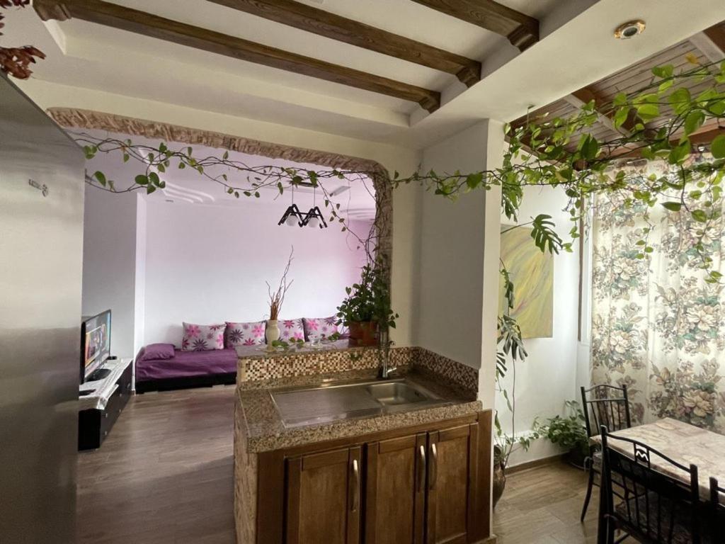 Cite Jardins Appartement マルティル エクステリア 写真